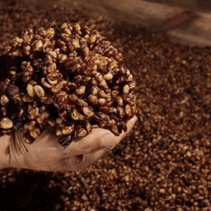 Honey Process