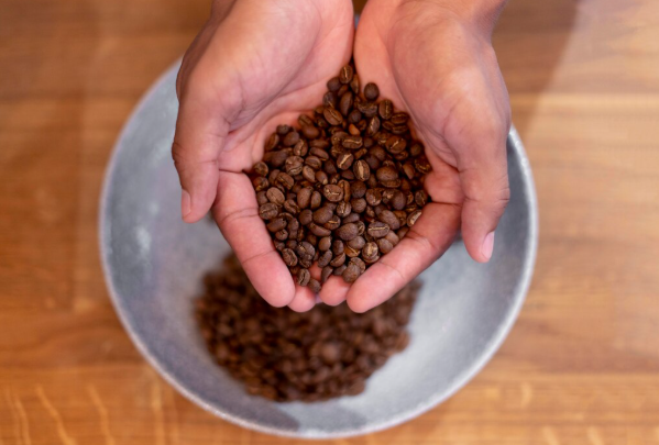 Carolina’s Colombia: Small-Lot Craftsmanship, Big Impact on Coffee Quality
