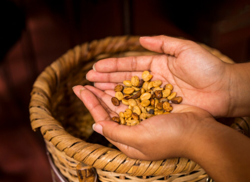 honey processed coffee
